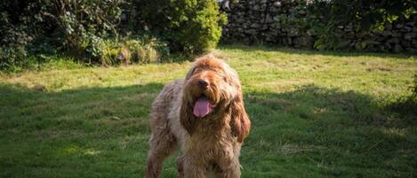 Enceinte de lâhĂ©bergement