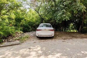A white car parked on a paved area surrounded by dense greenery.