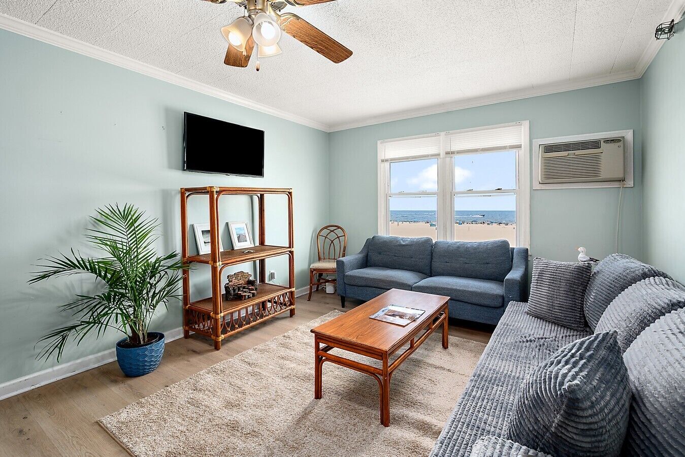A living room with a sofa, a coffee table, a television, a ceiling fan, a window with a view of the beach, and a potted plant.