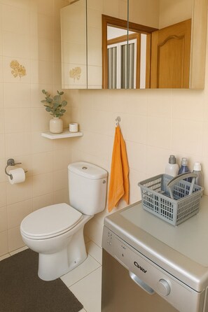 Secador de pelo, toallas, jabón, papel higiénico