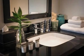 Hair dryer, towels, soap, toilet paper