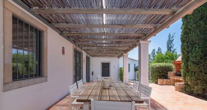 Casa Velha Pool Ocean View