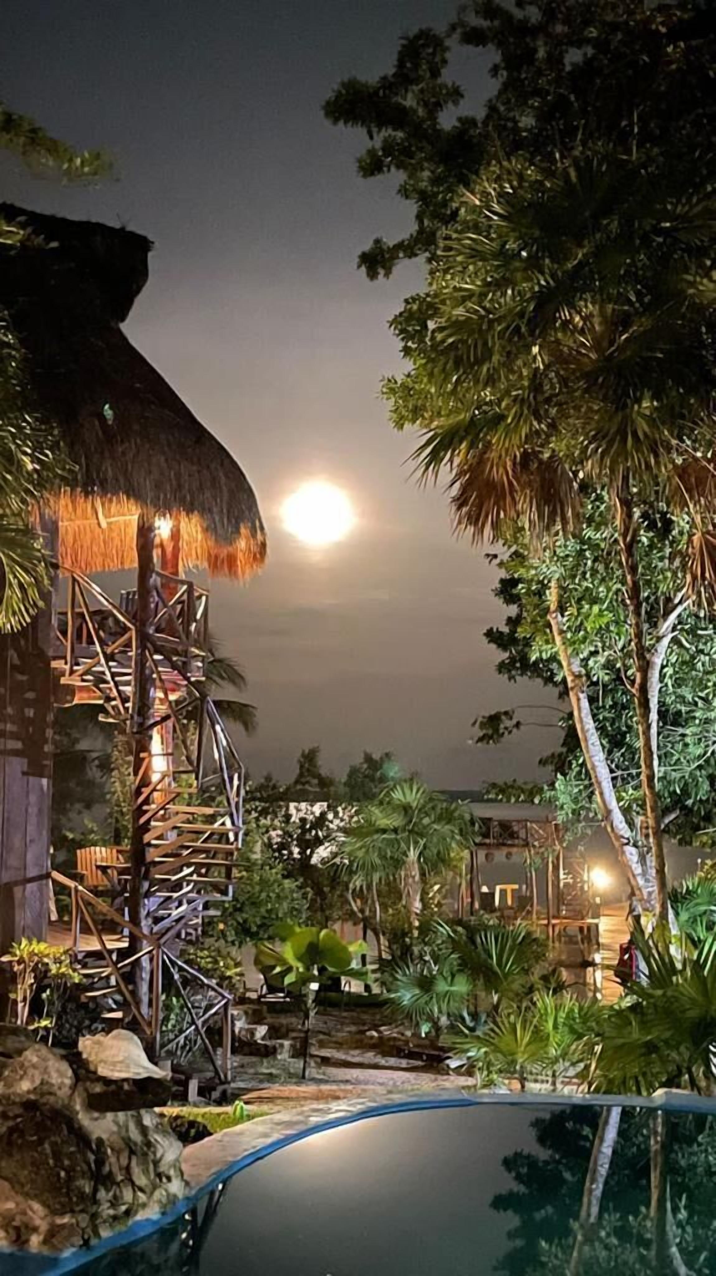 Superior Cabin, Lagoon View | Laptop workspace, rollaway beds, free WiFi, bed sheets