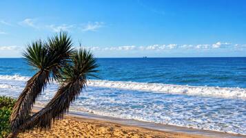 A beach with clear blue water, a sandy shore, and a palm tree.