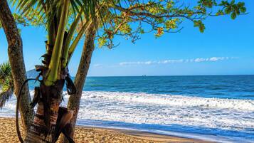 A beach with palm trees and the ocean.