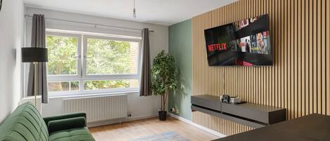 TV, video games, books