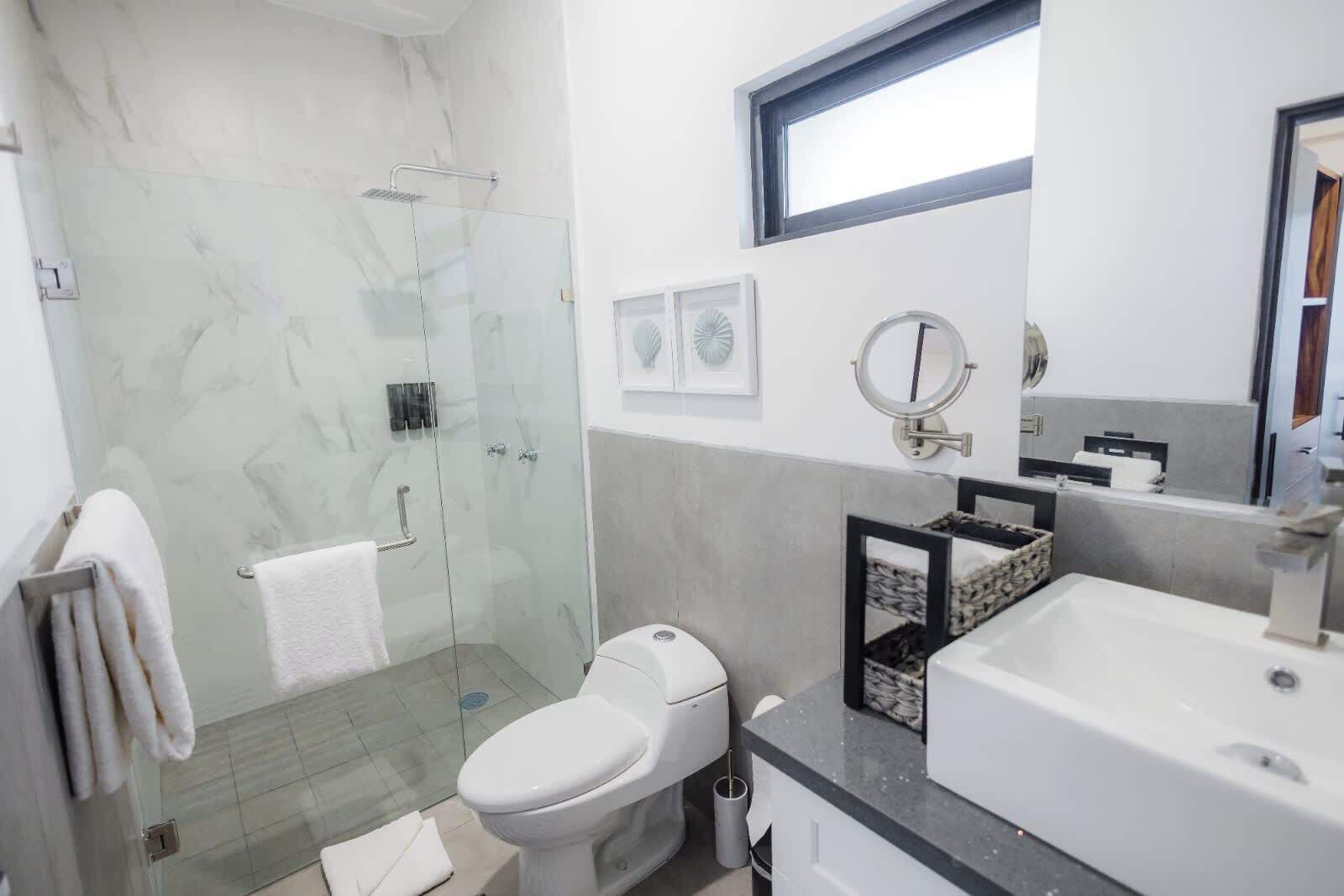 Chuveiro, secador de cabelo, toalhas de banho, shampoo