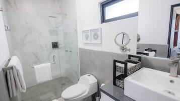 Chuveiro, secador de cabelo, toalhas de banho, shampoo