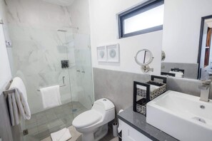 Shower, hair dryer, towels