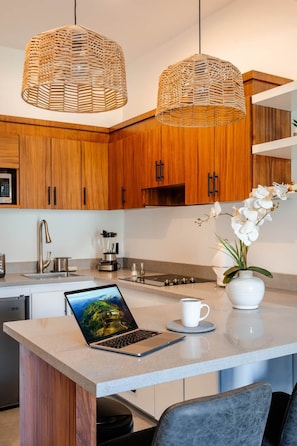 Coffee/tea maker, fridge, microwave, oven - NEW Listing | Walk to Downtown Cabo | King Bed. (Cabo San Lucas)