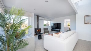 Smart-TV, Kamin