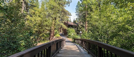 A wooden bridge leading to a lodge surrounded by dense forest.