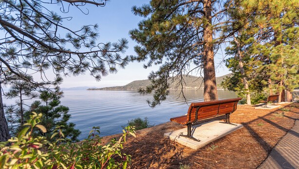Un banc donnant sur un lac paisible, avec des pins au premier plan.