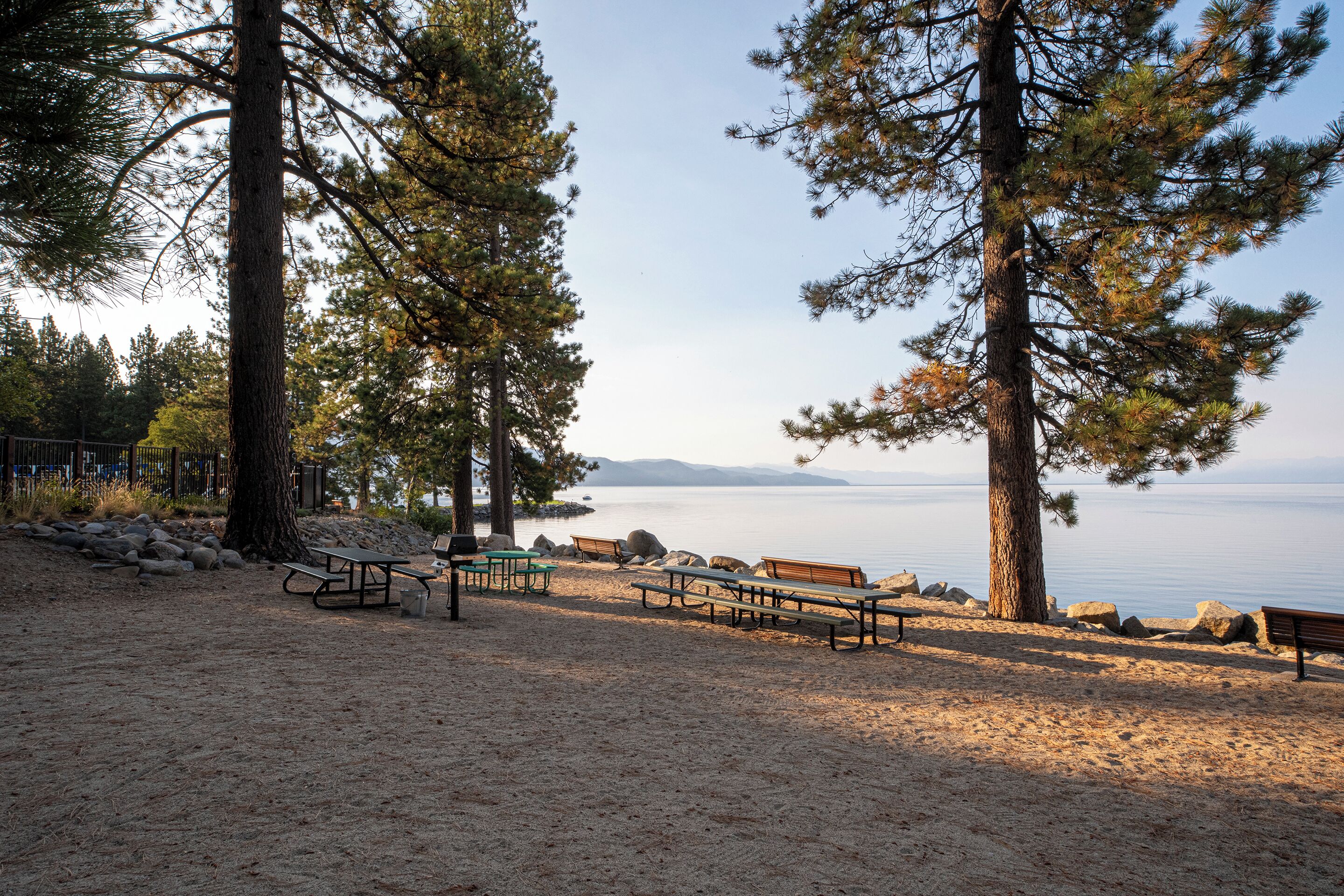 A beach with picnic tables and benches, surrounded by tall pine trees, overlooking a calm body of water.