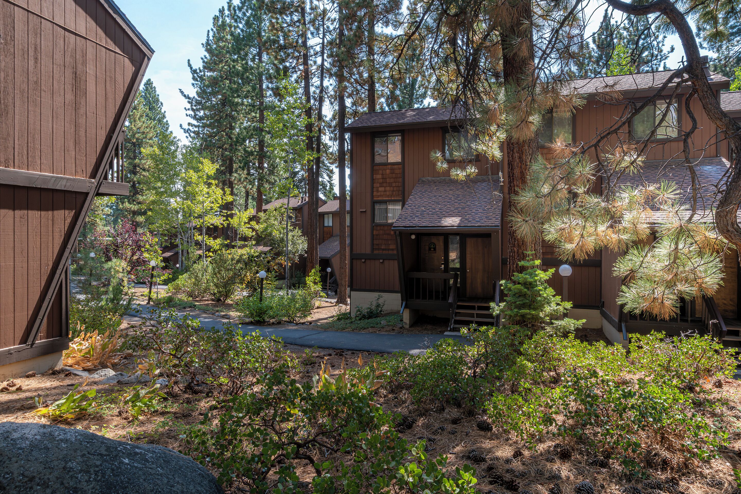 A wooden cabin with a front porch, surrounded by dense trees and a well-maintained garden.