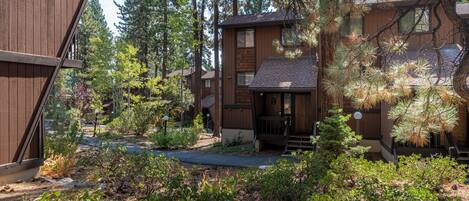 A wooden cabin with a front porch, surrounded by dense trees and a well-maintained garden.