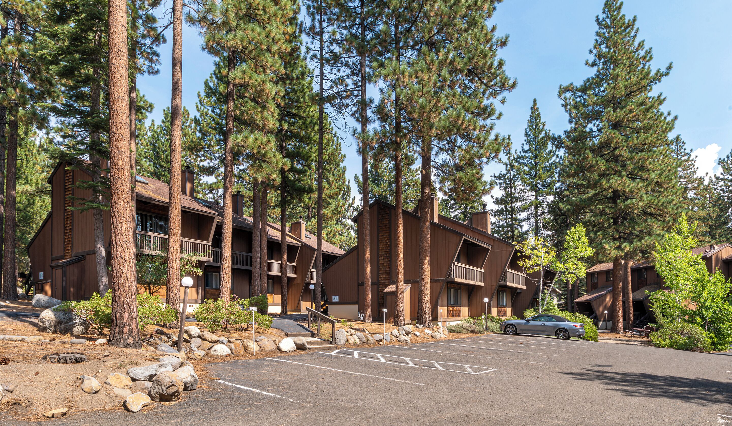 A lodge with multiple wooden buildings surrounded by tall pine trees.