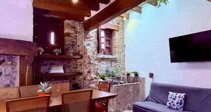 Tizapan 1 New apartment 1BE/1BA