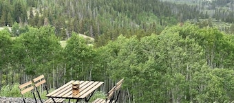 Chalet Homestake View between Vail and Leadville