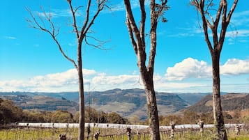 Vista da propriedade