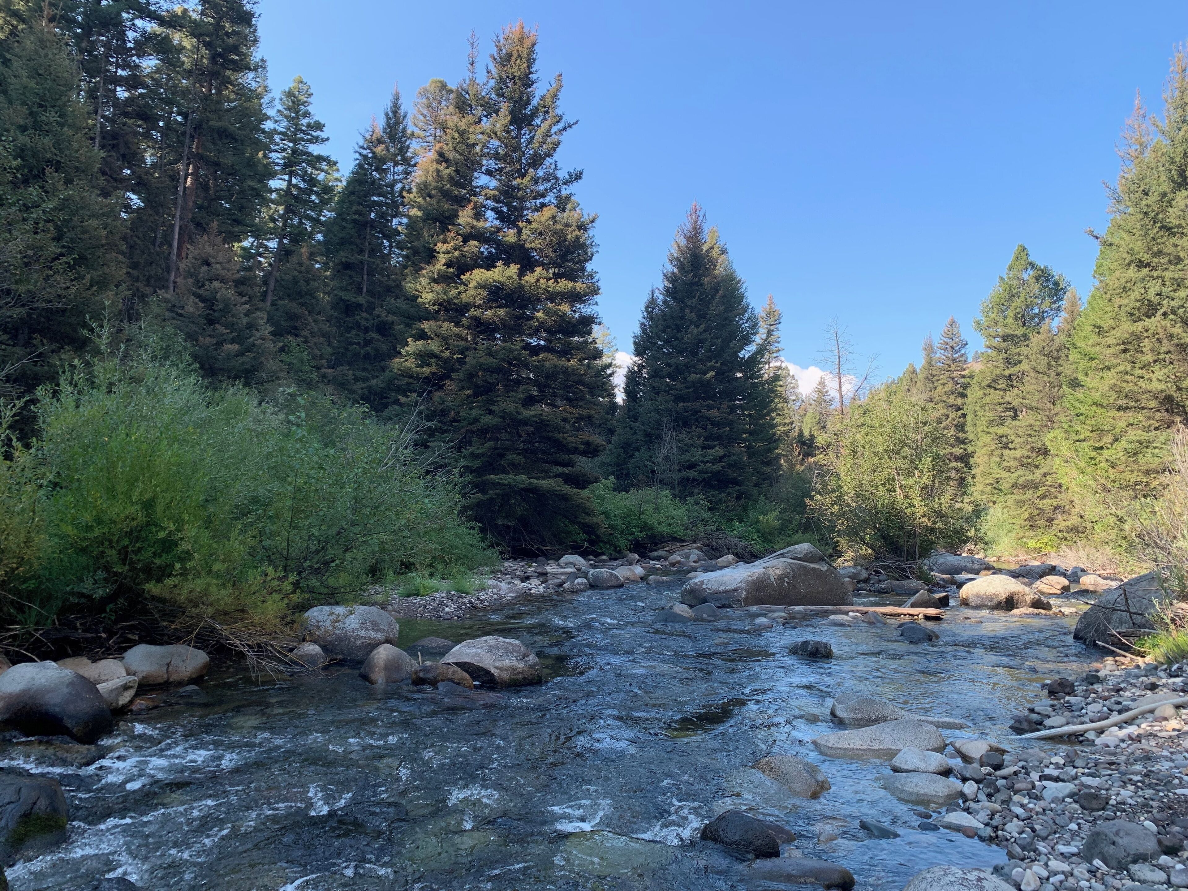 Bear Creek on property