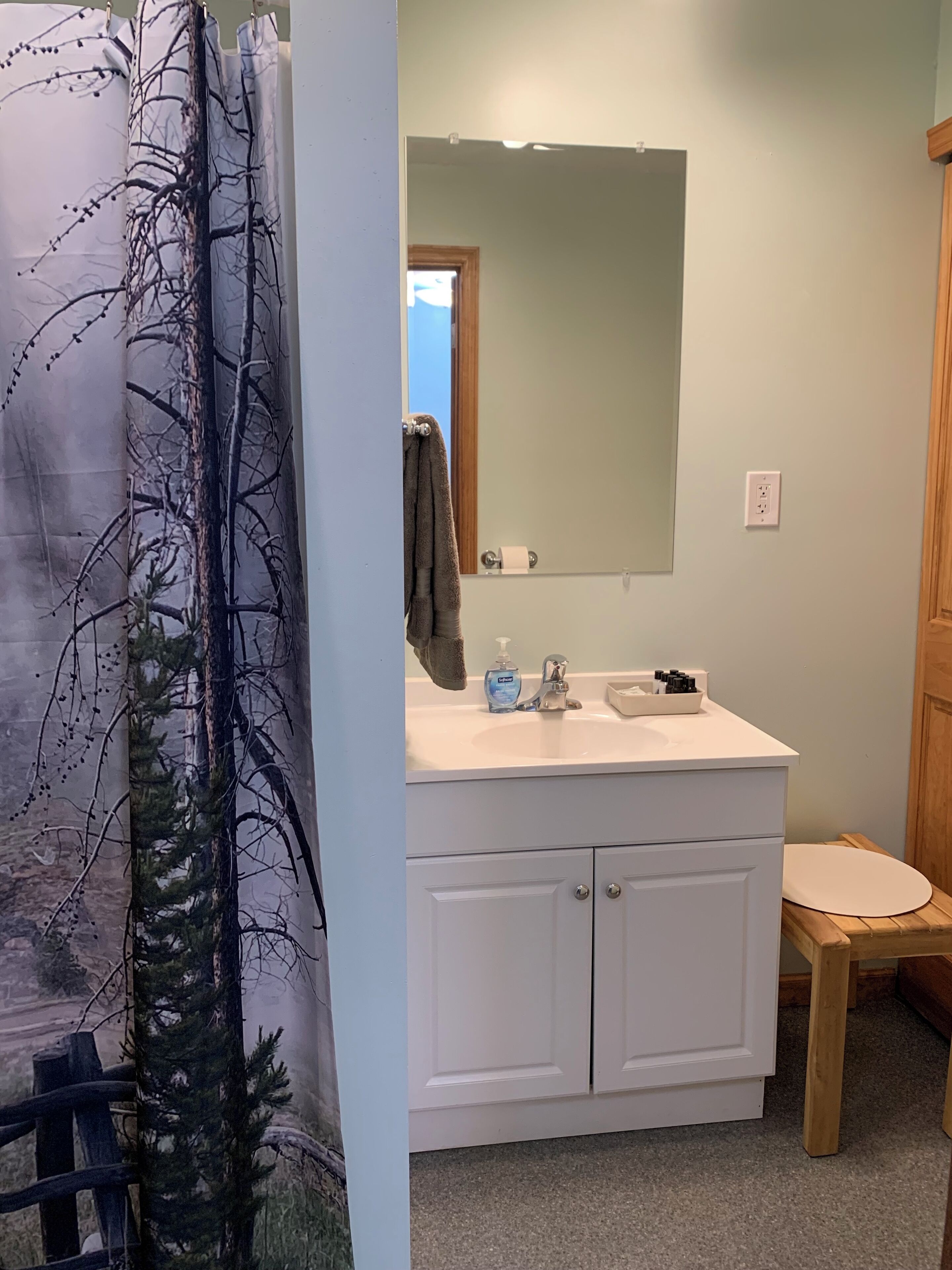 Downstairs bathroom w/ walk-in shower