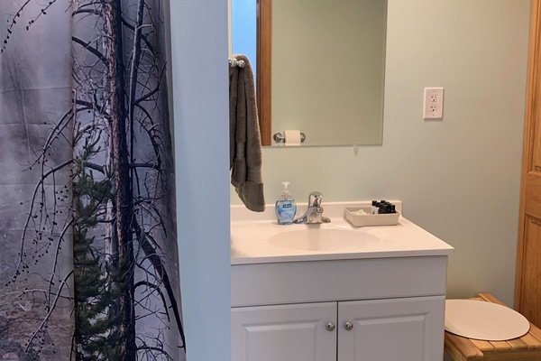 Downstairs bathroom w/ walk-in shower