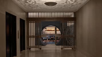 2 bares, bar en la azotea