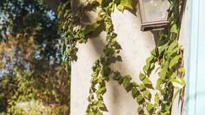 A white pillar with ivy climbing up it, a small lantern attached to the pillar, and a pool in the background. - Luxury Villa w/ Pool, Mountain Views near NASA (Altadena)