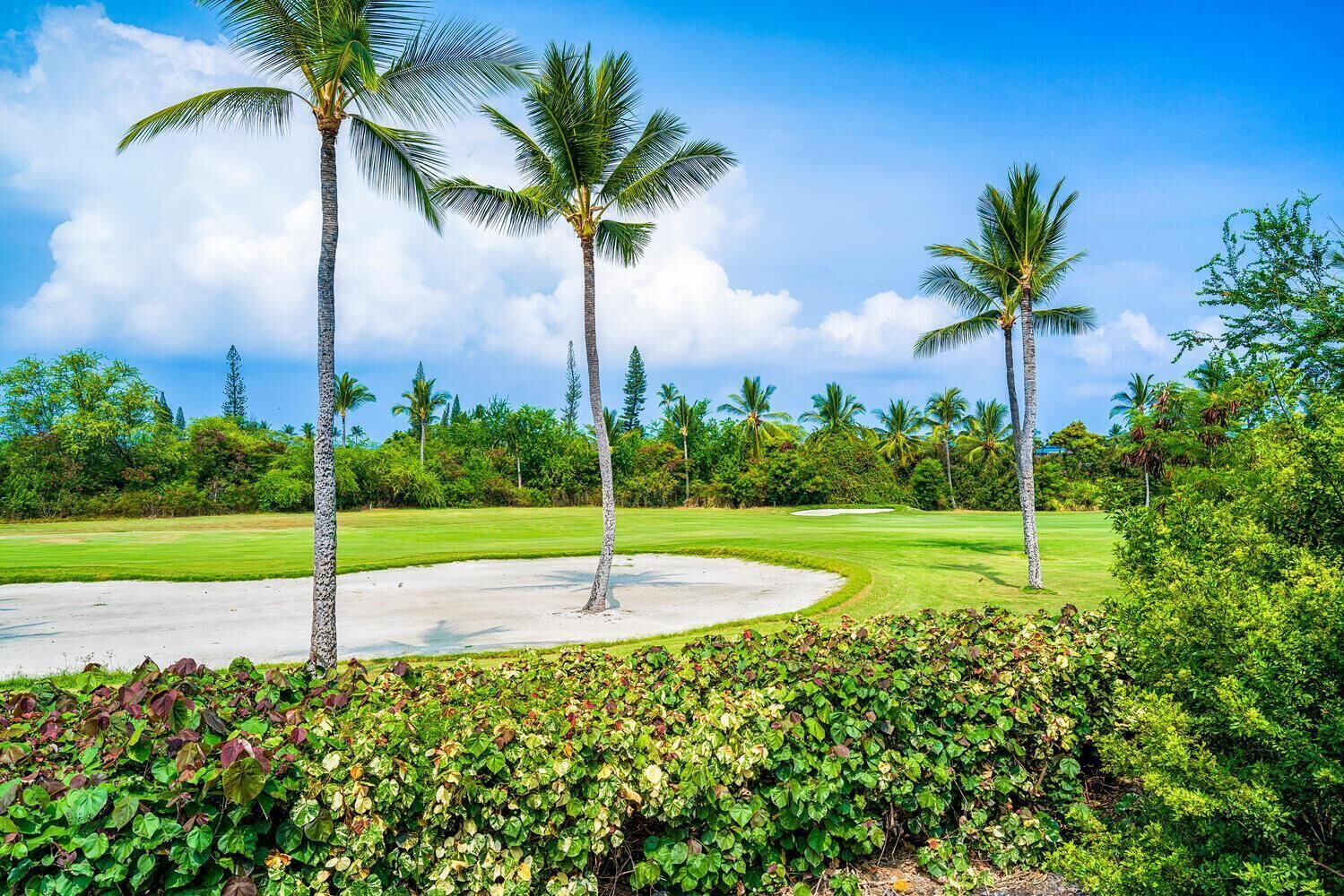 Condo, varias camas (Keauhou Punahele#B-202) | Golf