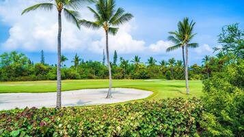 Condo, varias camas (Keauhou Punahele#B-202) | Golf