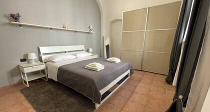 Miele Living Home - Comfort in the Heart of Vercelli