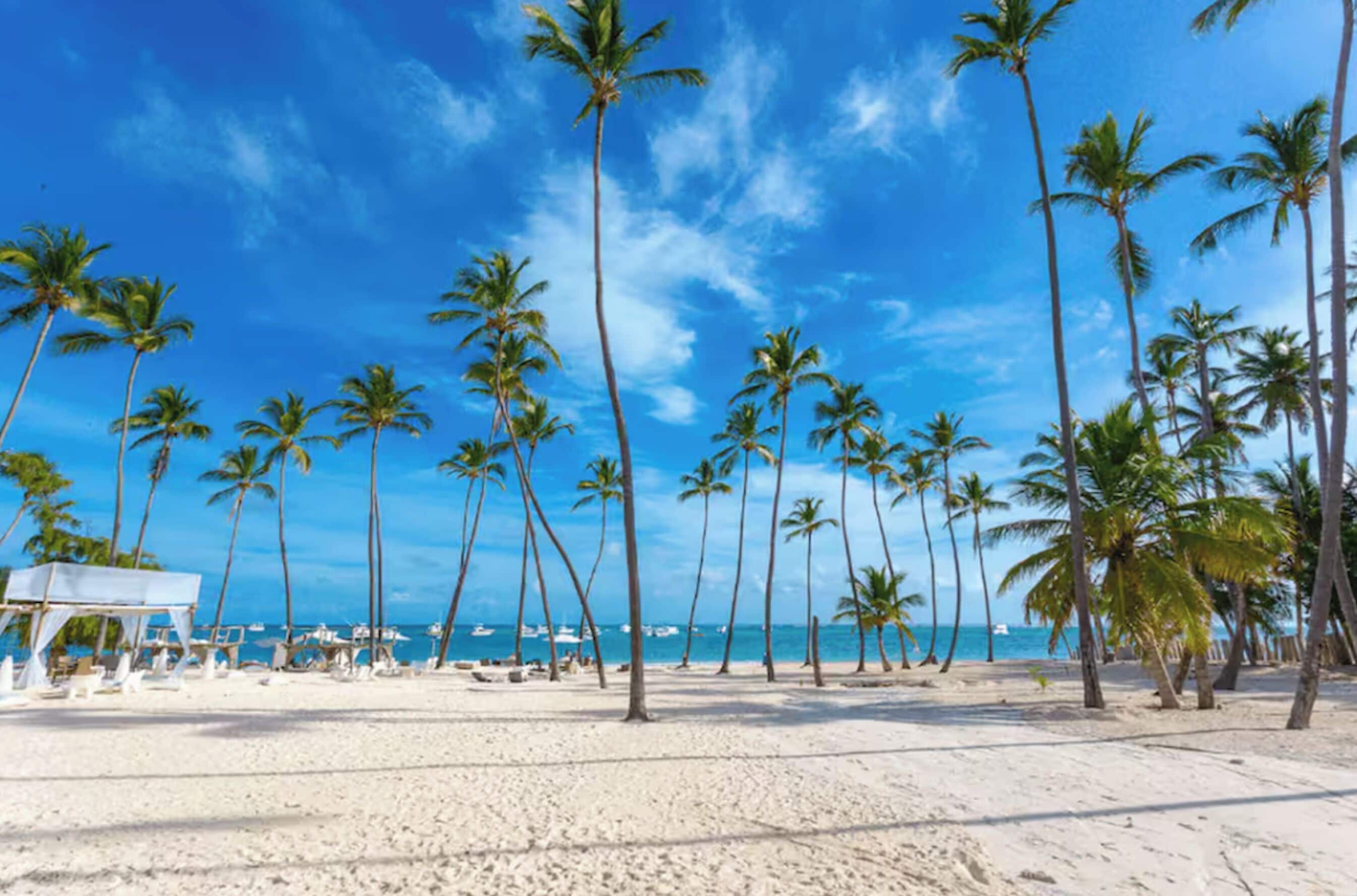 私家海滩、白沙、小屋（收费）、海滩按摩