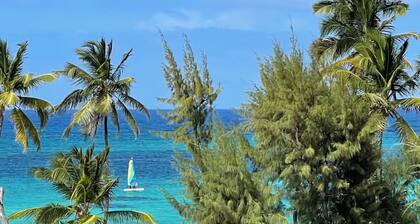 TROPICAL RETREAT at PLAYA LOS CORALES