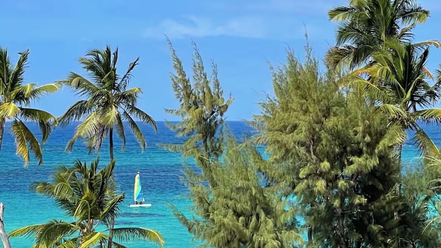 TROPICAL RETREAT at PLAYA LOS CORALES