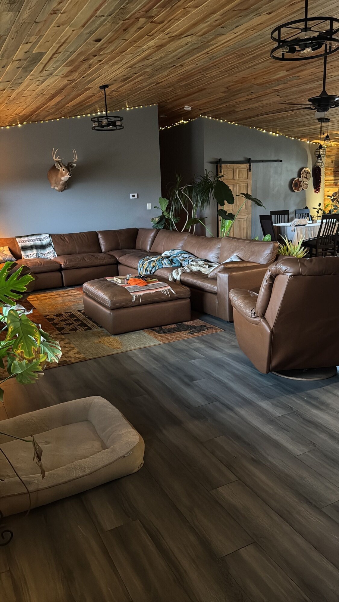 Imagem do perfil do anfitrião