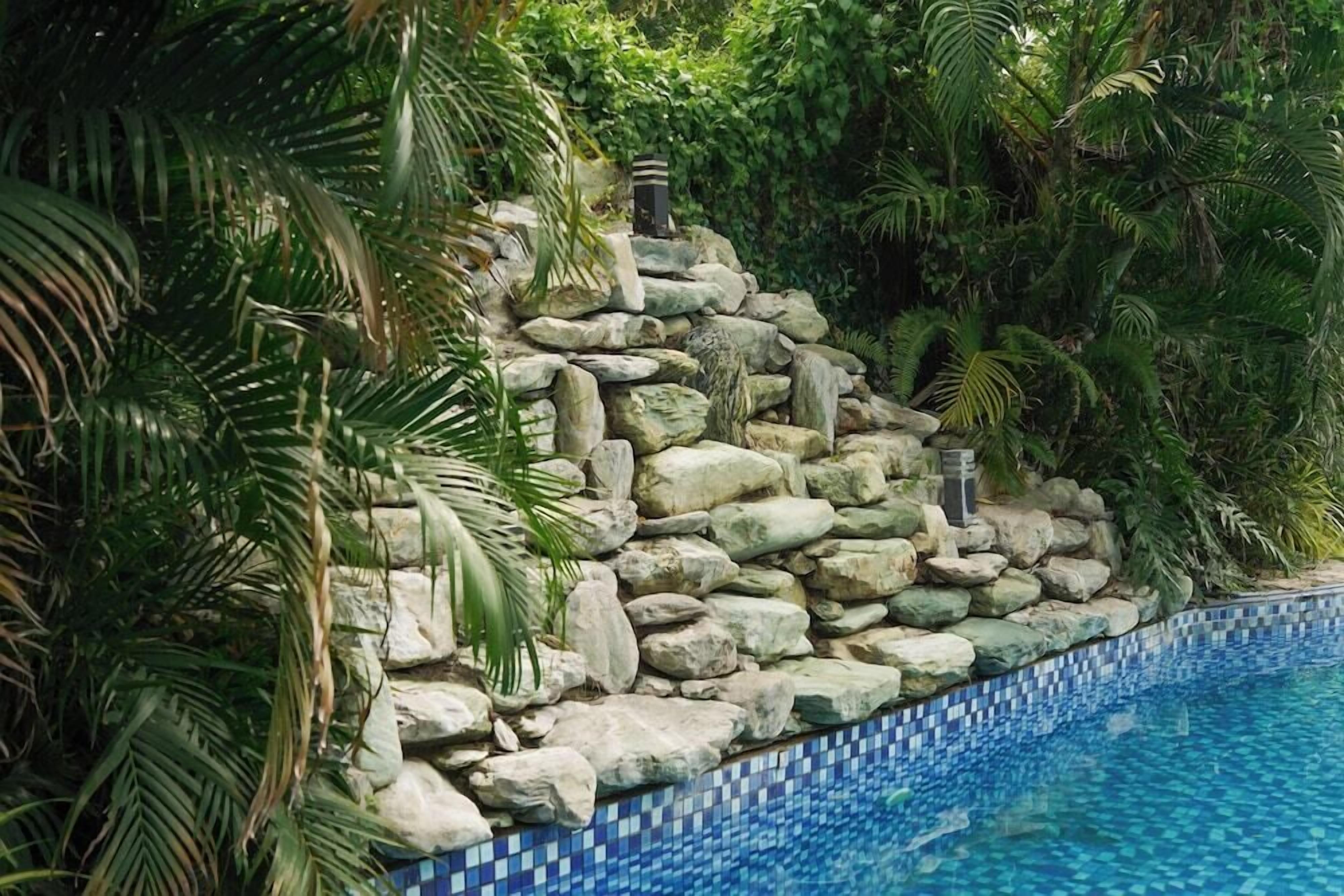 A pool with a stone wall and tropical foliage.