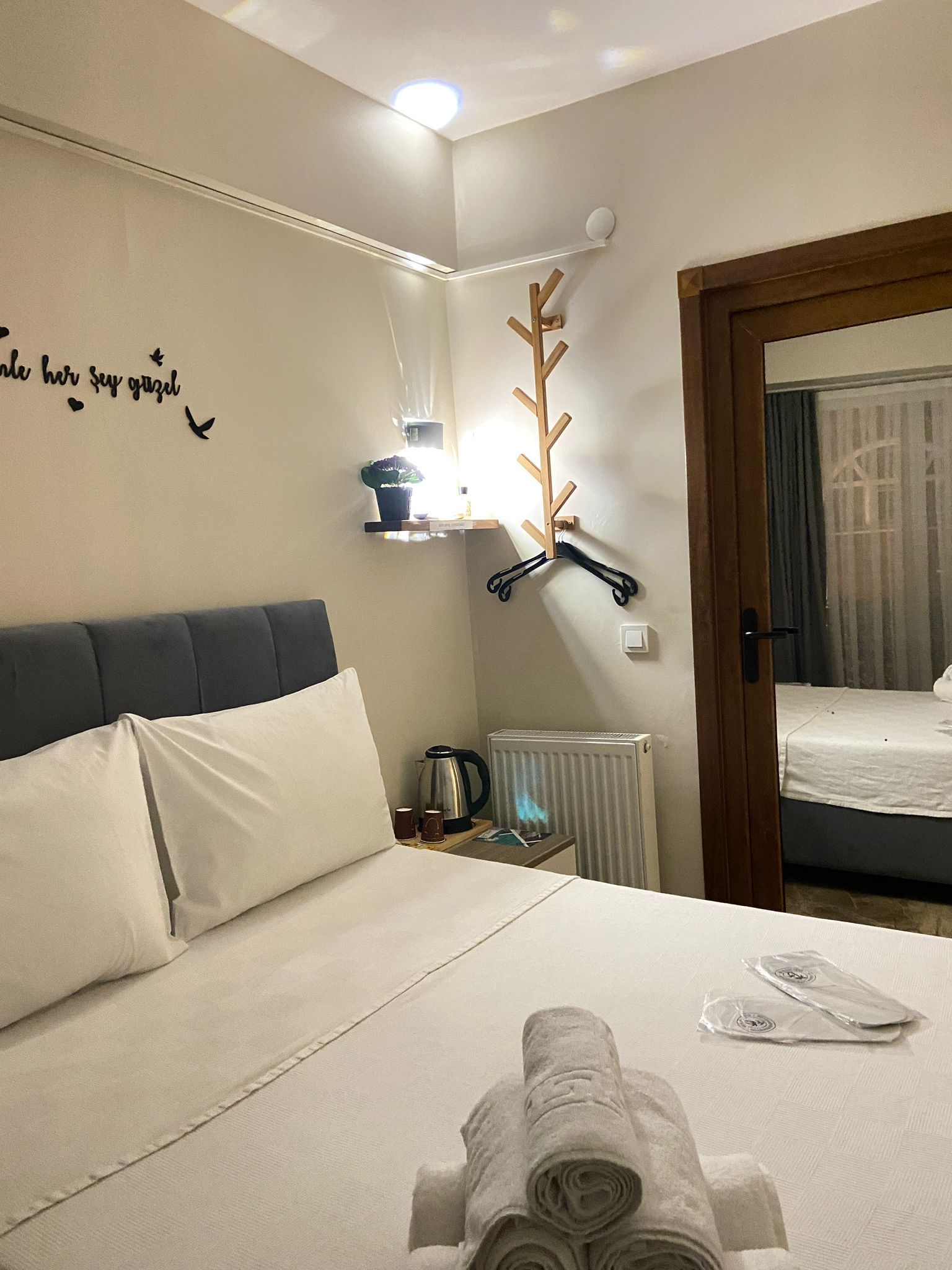 A hotel room with a bed, a radiator, a kettle, and a shelf with a plant.