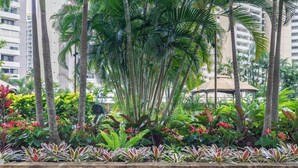 Un exuberante jardín con altas palmeras y una gran variedad de plantas coloridas.