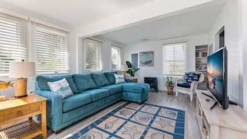 Smart TV, fireplace, books