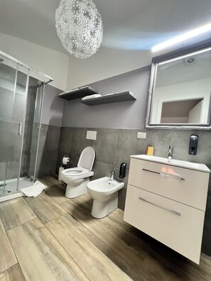 Shower, hair dryer, bidet, towels