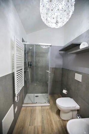 Shower, hair dryer, bidet, towels