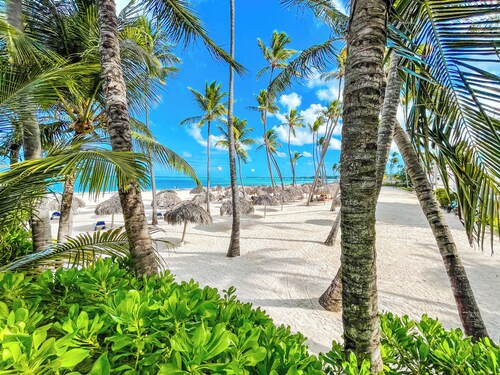 Beach Apartments Paradise 