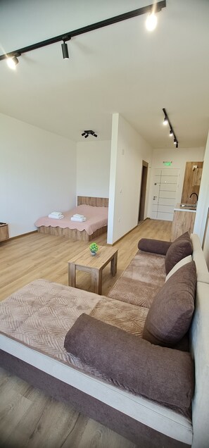 1 slaapkamer, een strijkplank/strijkijzer, internet