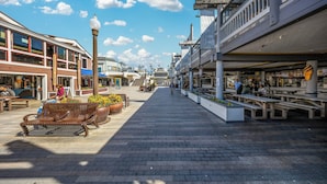 Une promenade piétonne agrémentée de bancs et de sièges extérieurs, bordée de bâtiments abritant des commerces.