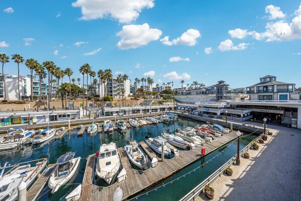 On the beach - Oneluxstay 3BR near Redondo Beach (Redondo Beach)