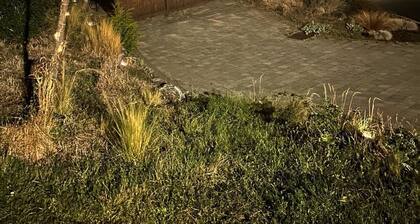 Oceana Retreat: Cozy 1BR with Outdoor Oasis