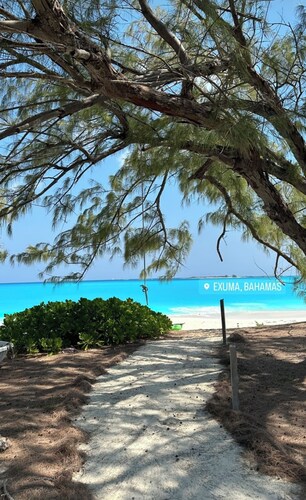 “All Decked Out” steps from the Water Taxi