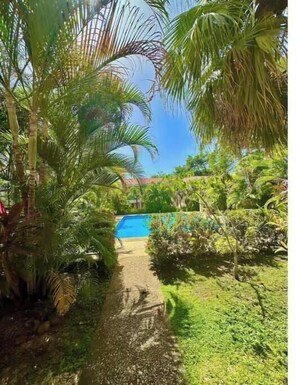 A pathway leading to a blue pool surrounded by lush greenery and palm trees.