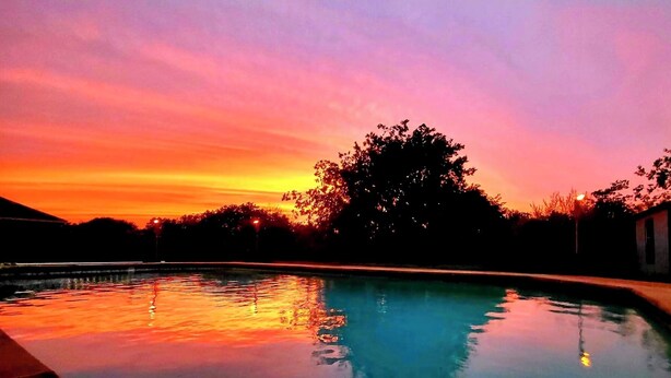 A swimming pool at sunset with a tree in the background. - Peaceful Family Retreat – Minutes to AT&T & Rangers Stadiums, Six Flags & More! (Arlington)